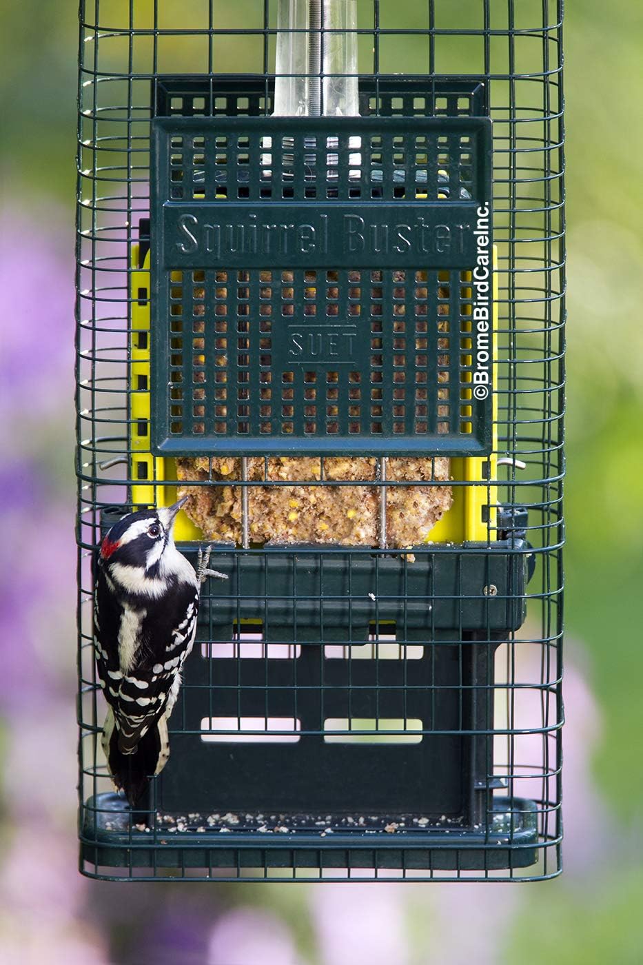 Squirrel Buster Suet Squirrel-proof Suet Bird Feeder w/2 Suet Cake Trays, 2 Crumb Ports, Mess-free Suet Loading,Green