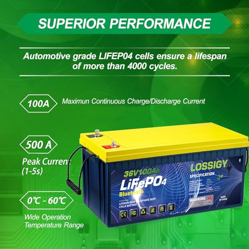 LOSSIGY 12V 300AH LiFePO4 Lithium Battery, Built in BMS with 10 Yrs Lifespan, Perfect for Solar System, RV, Marine