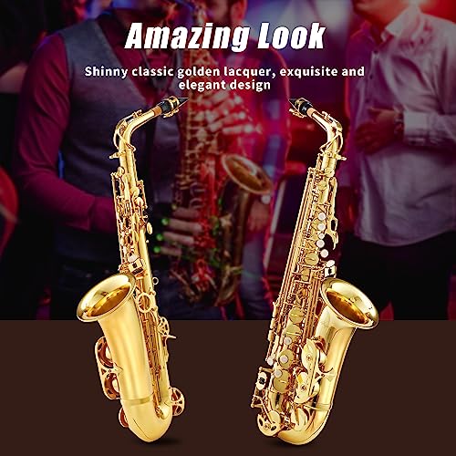 LeSage Alto Saxphone E Flat Black Saxophone for Beginners Student Alto Sax With Carrying Sax Case Adult Saxofon Alto Saxaphone Music Instrument