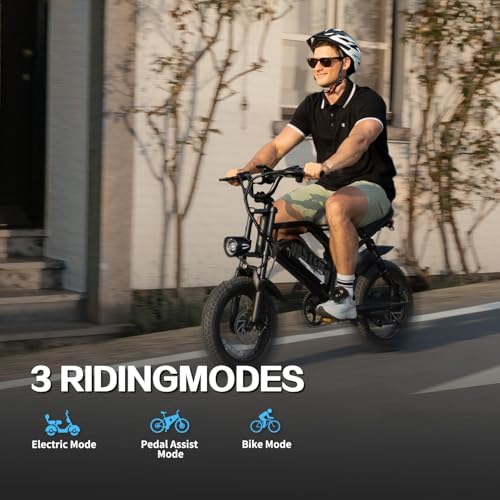 Electric Bike, 16'' Fat Tire E-Bike for Teens/Adults, 500W E-Bike with 36V/12.8Ah Removable Battery, Up to 22MPH, 45 Mile Range, Electric Mountain Bike for Woman/Men