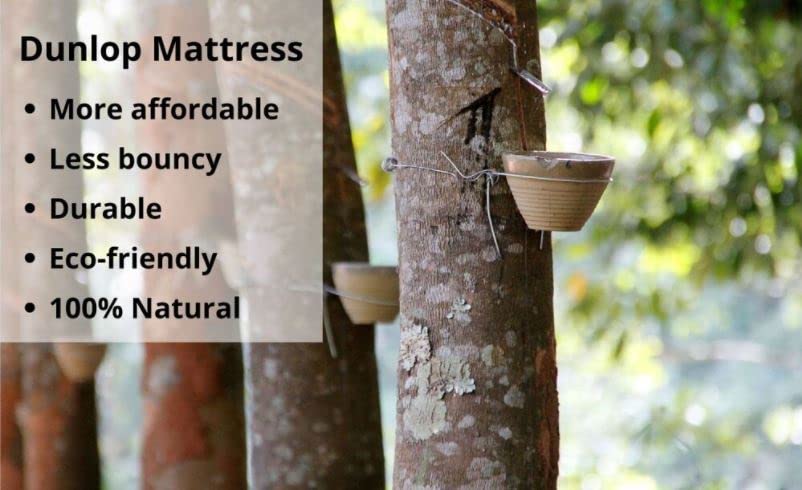 100% Natural Latex Mattress Topper - Medium - 3" Thick, King Mattress Topper