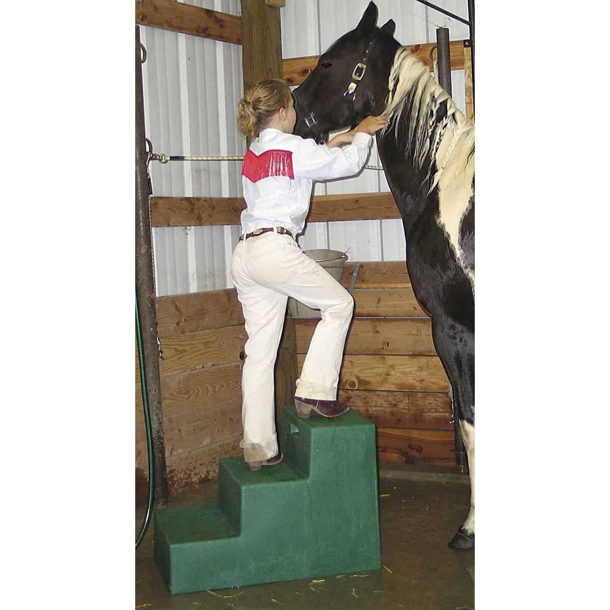 High Country Plastics 3 Step Mounting Step - Pet Supplies online store