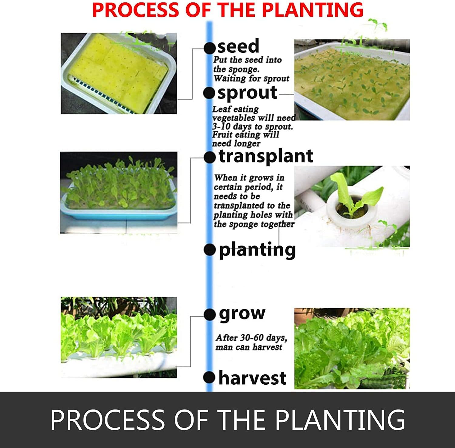 DreamJoy 3 Layers 108 Plant Sites Hydroponic Site Grow Kit 12 Pipes Hydroponic Growing System Water Culture Garden Plant System for Leafy Vegetables Lettuce Herb Celery