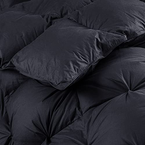 Luxurious All-Season Goose Down Feather Fiber Comforter Queen Size Duvet Insert, Premium White Solid Plain Design, Premium Baffle Box, 100% Egyptian Cotton, 70 oz Fill Weight