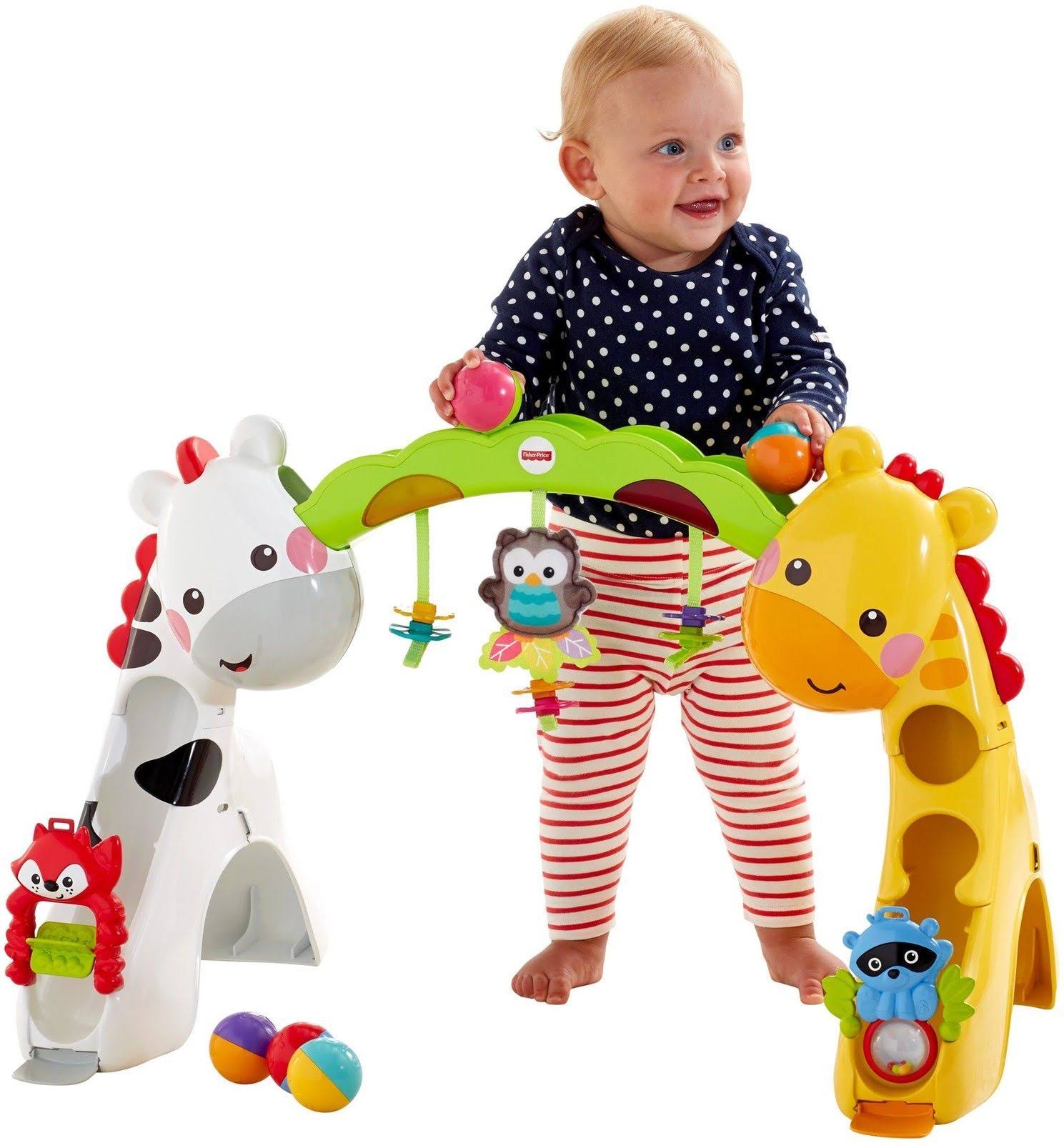 Fisher-Price Newborn-to-Toddler Play Gym