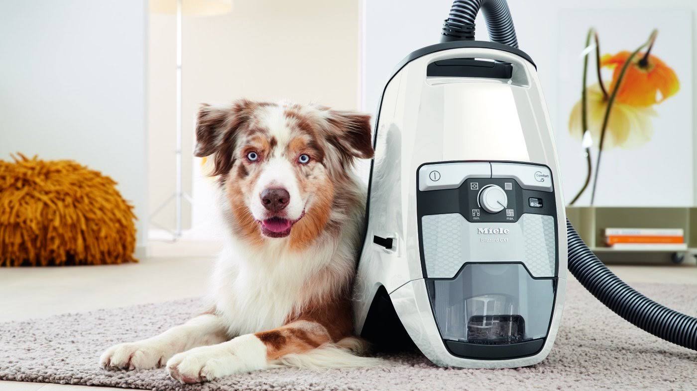 Miele Blizzard CX1 Cat u0026 Dog Bagless Canister Vacuum