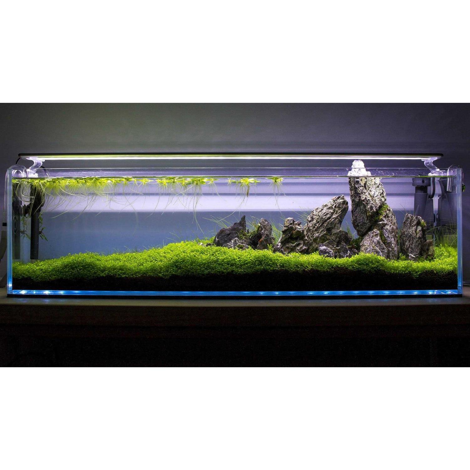 Aquatop High Clarity Tall 12.7 Gallon Aquarium - Pet Supplies online store