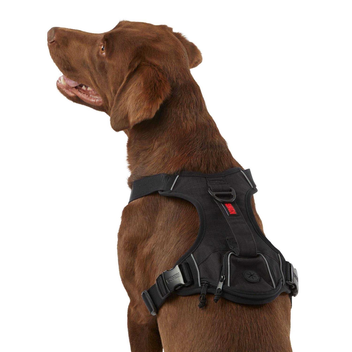 KONG Ultra Durable Waste Bag Harness - Pet Supplies online store
