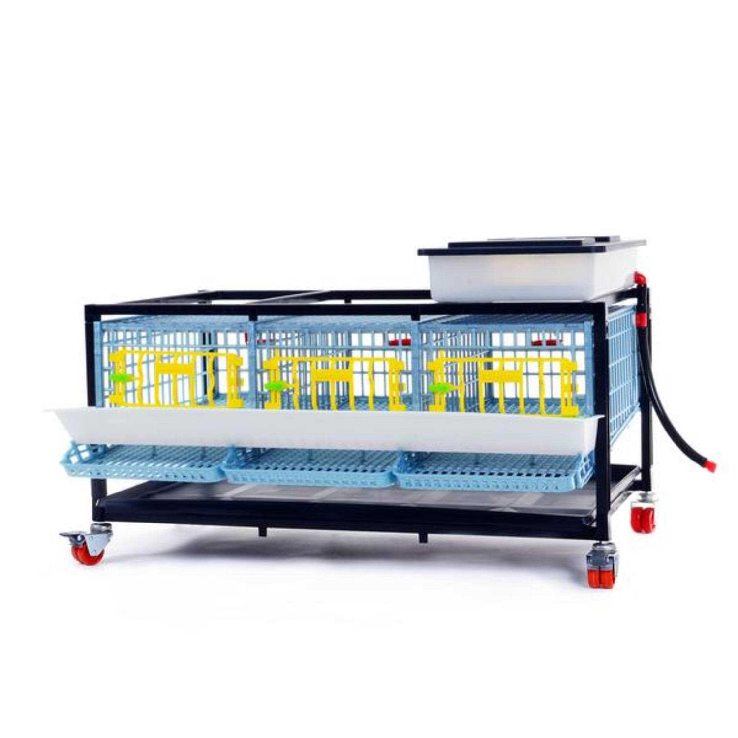 Hatching Time Partridge Cage 1 Layer - Pet Supplies online store