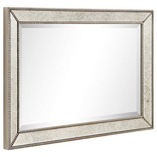 Empire Art Direct Solid Wood Frame Wall, 1"-Beveled Center Antique Mirror for Bathroom, Bedroom, Living Room, Ready to Hang, 24" x 54", Champagne