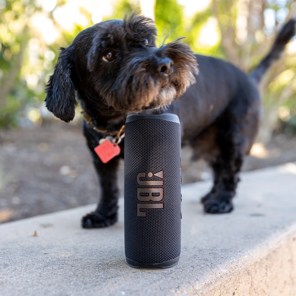 JBL Flip 6 Portable Waterproof Speaker (Black)