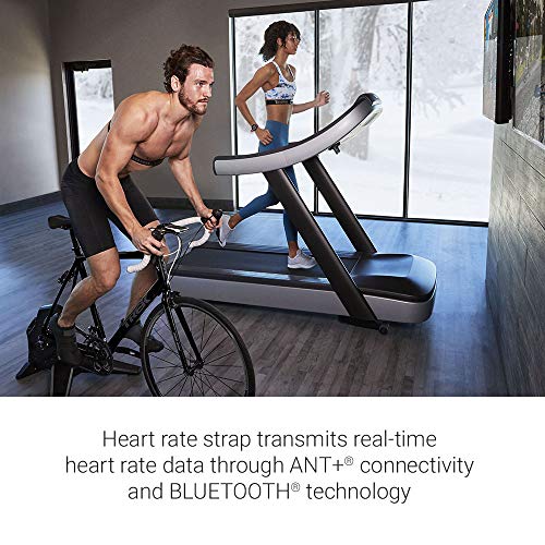Concept2 RowErg Indoor Rowing Machine with PM5 Monitor | Device Holder, Adjustable Air Resistance, Easy Storage with Garmin HRM-Dual Heart Rate Monitor and Signature Series Resistance Band