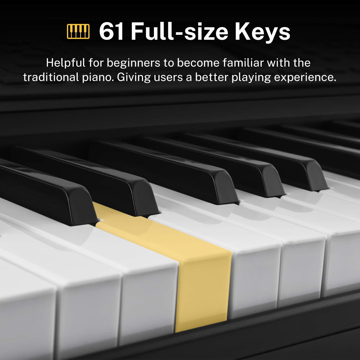 Donner Keyboard Piano, 61 Key Piano Keyboard, Full Size Electric Piano with Piano Stand, Stool, Microphone and Piano Course App, Supports MP3/USB MIDI/Audio/Microphone/Headphones/Sustain Pedal