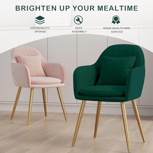 Napfox Furniture Velvet Living Dining Room Set of 2 Accent Arm Chairs Upholstered Seat Club Guest Mid Century Chair with Golden Metal Legs (Pink)