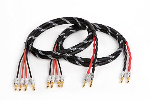 Canare 4S11 Hi-Fi Bi-Wire Speaker Cable Pair Flex Braided 2 to 4 Banana 6 ft