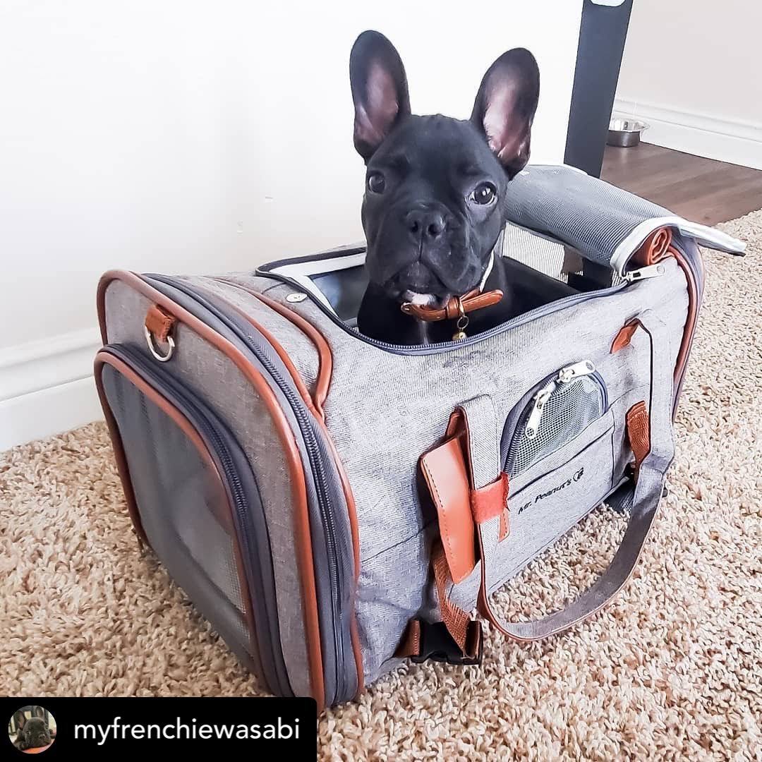 Mr. Peanut&s Gold Series Airline Approved Tote - Low Profile, Soft Sided Premium Pet Carrier