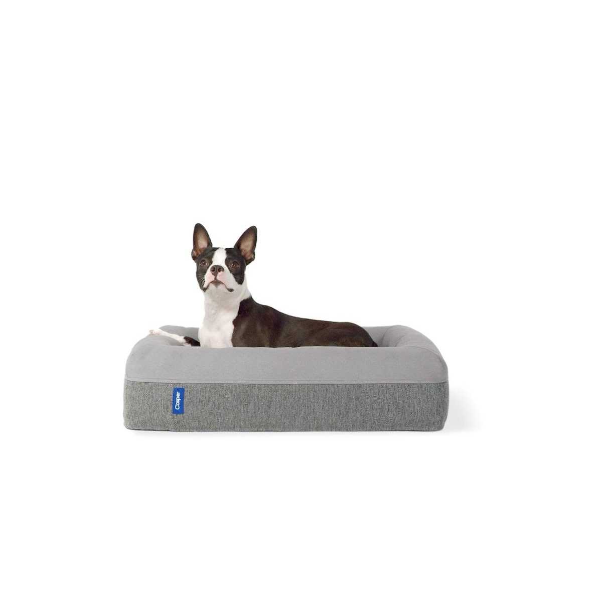 Casper Dog Bed - Pet Supplies online store