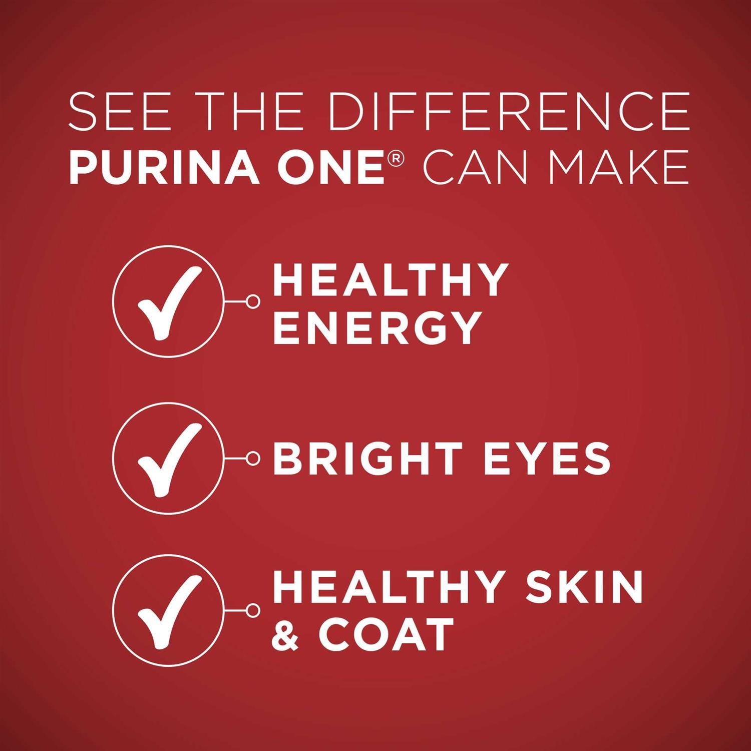 Purina ONE SmartBlend Lamb &amp; Rice Dry Dog Food - Pet Supplies online store