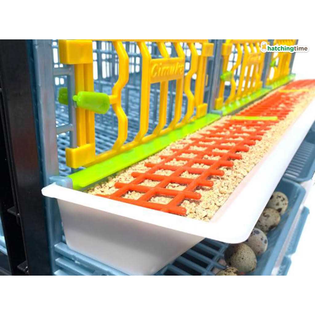 Hatching Time Partridge Cage 1 Layer - Pet Supplies online store