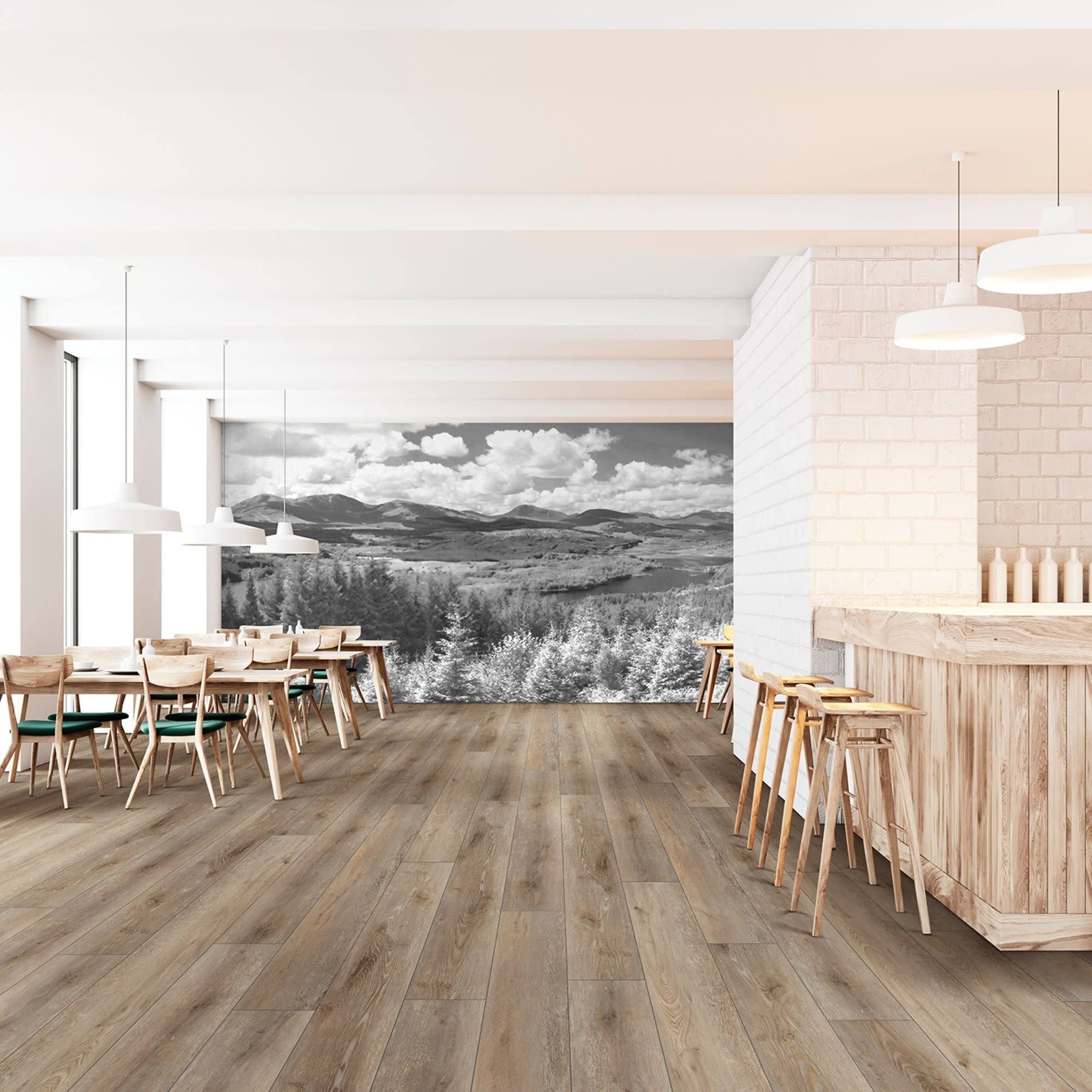 COREtec Pro Plus XL Enhanced Sydney Oak VV491-02953 SPC Vinyl Flooring