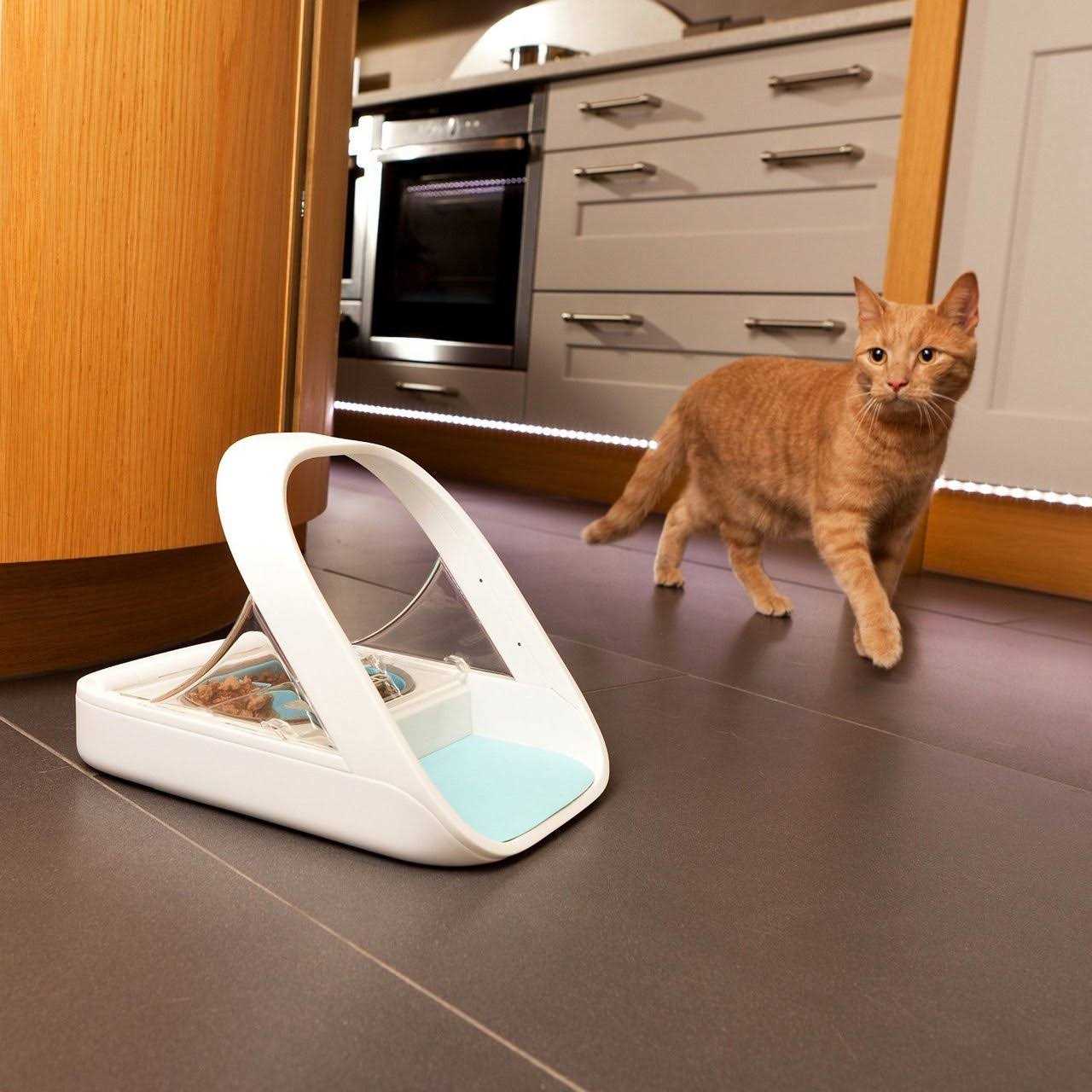 SureFlap SureFeed Microchip Pet Feeder - Pet Supplies online store