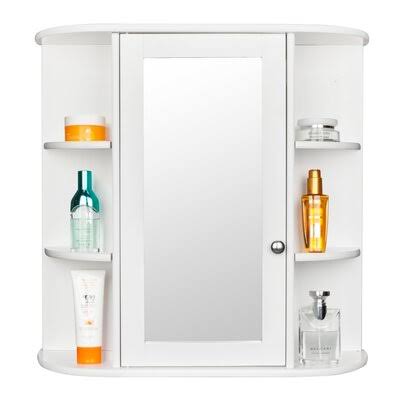 Bircham 23.6x22 W x 22.8x22 H x 6.5x22 D Wall Mounted Bathroom Cabinet Winston Porter