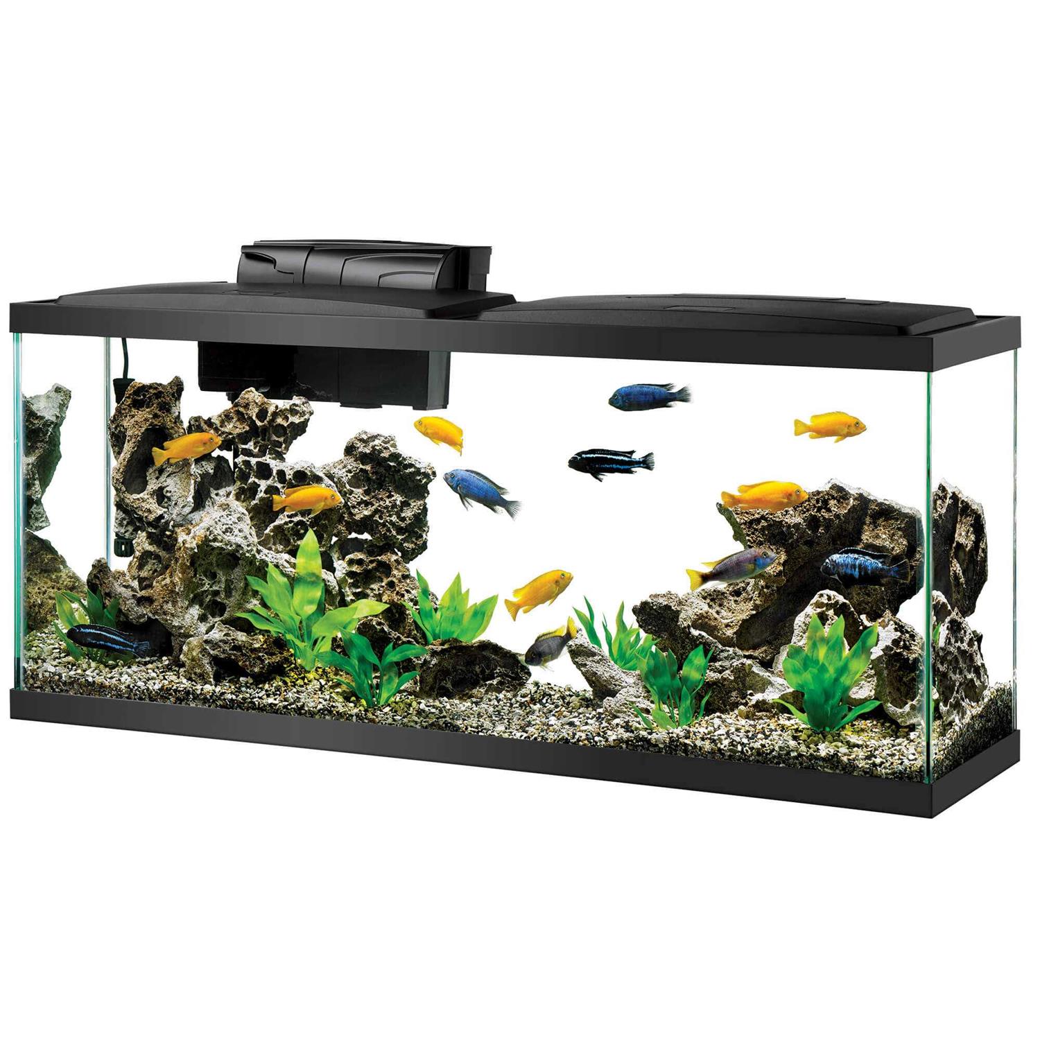 Aqueon Standard Aquarium - Pet Supplies online store