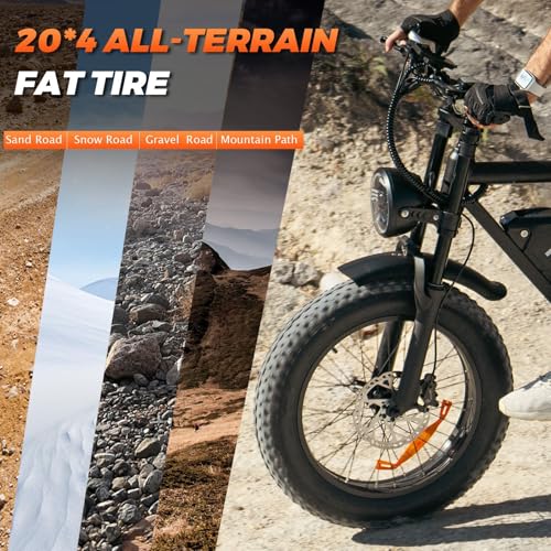 Electric Bike for Adults, 750W/1500W Peak Motor Ebike, 48V 15Ah Removable Battery, 60 Miles (PAS), 20"x4.0" Fat Tire, Full Suspension, 7-Speed Gears Shifter- Commuter & Off-Road E-Bike