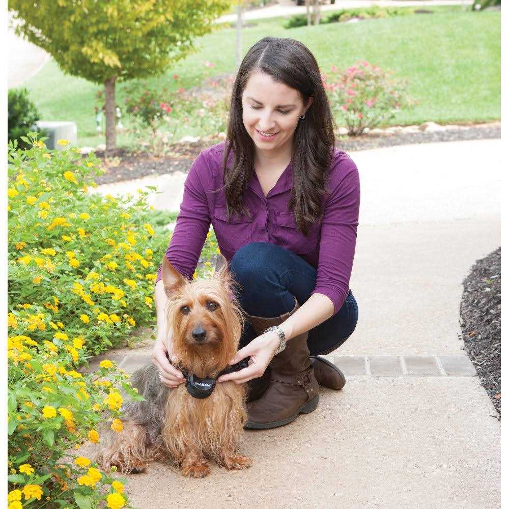 PetSafe Stay &amp; Play Wireless Fence with Replaceable Battery Collar - Pet Supplies online store