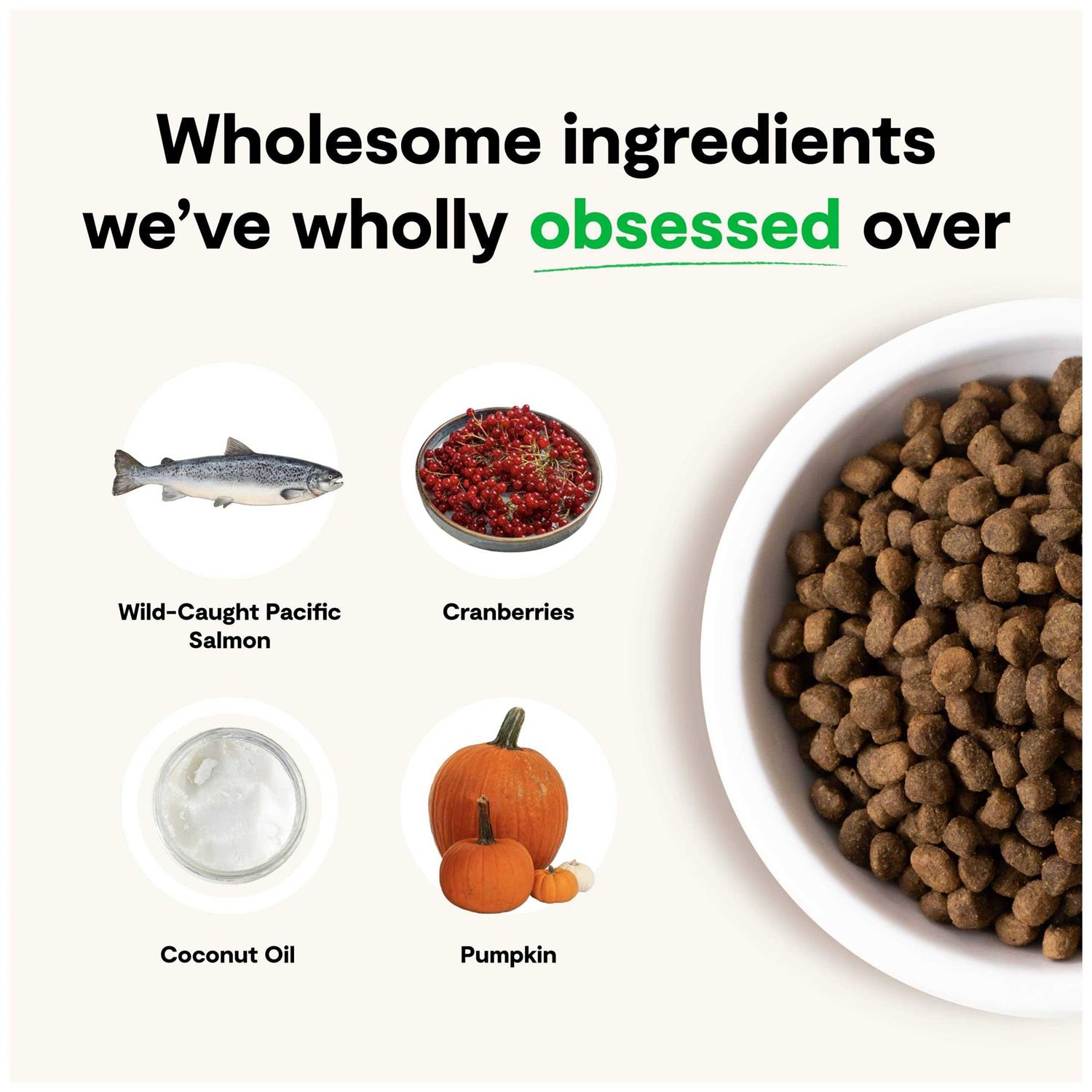 Open Farm Grain-Free Wild-Caught Salmon Dry Dog Food - Pet Supplies online store