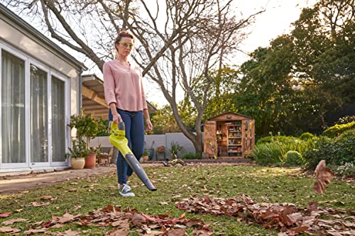 Ryobi OBL1820S ONE+ Cordless Blower, Air Speed (Zero Tool), 241 km/h, 18 V, Hyper Green and Grey