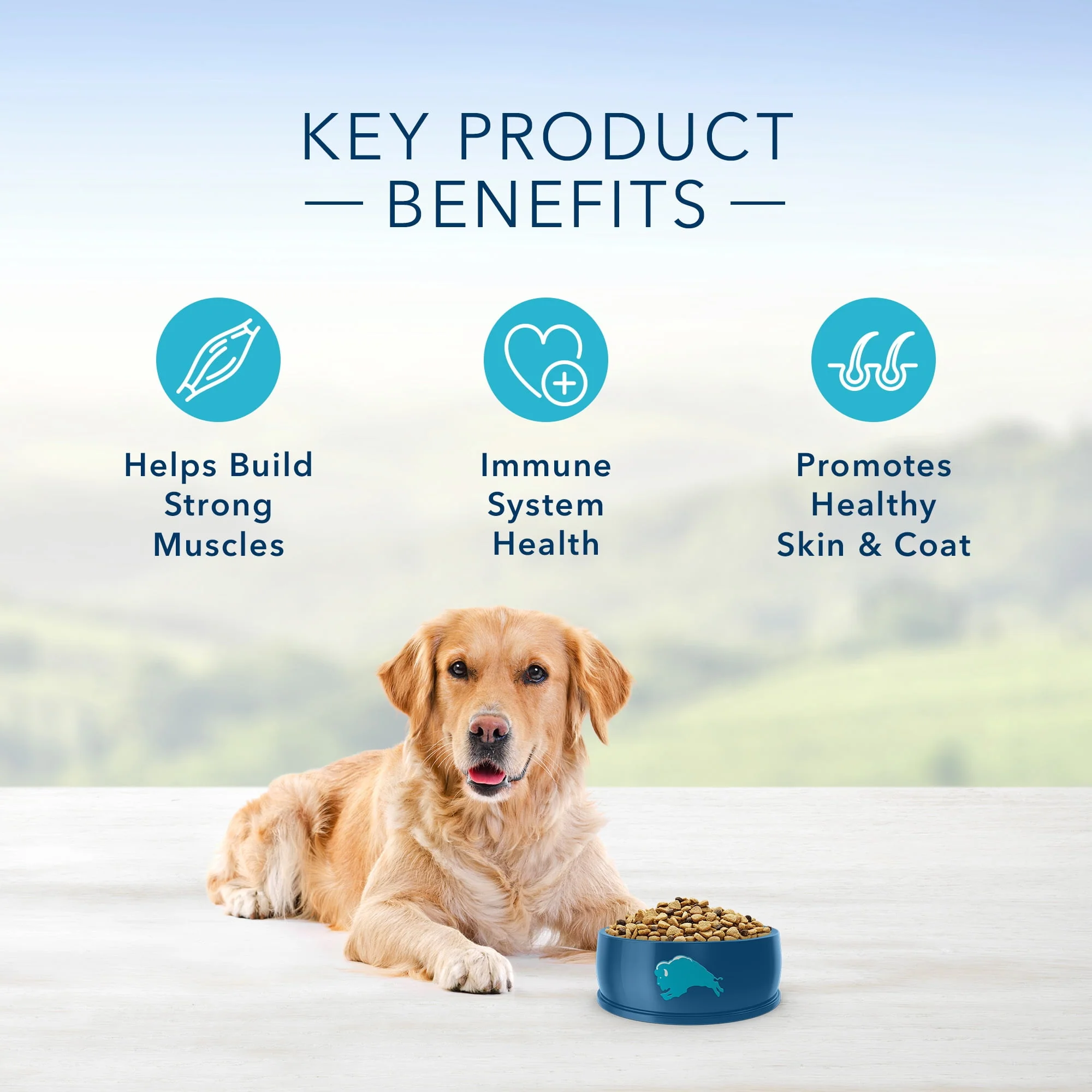 Blue Buffalo Life Protection Formula Chicken and Brown Rice Dry Dog Food for Adult Dogs, Whole Grain, 30 lb. Bag