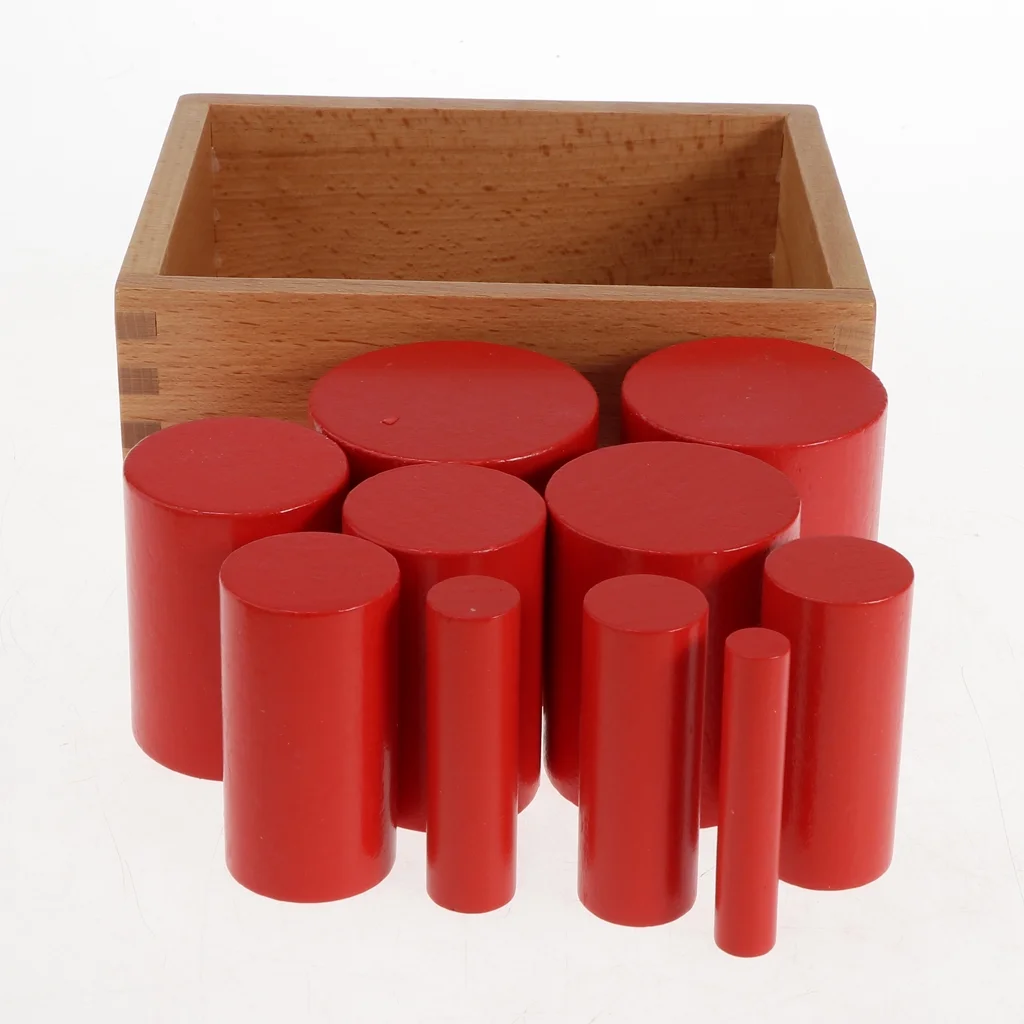 4 Sets Beechwood Montessori Knobless Cylinder Blocks Family Game Wooden Toy