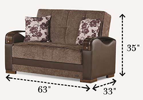 Empire Furniture USA LS-Rochester Rochester Collection Convertible Sofa Bed with Storage Space Includes 2 Pillows, Brown
