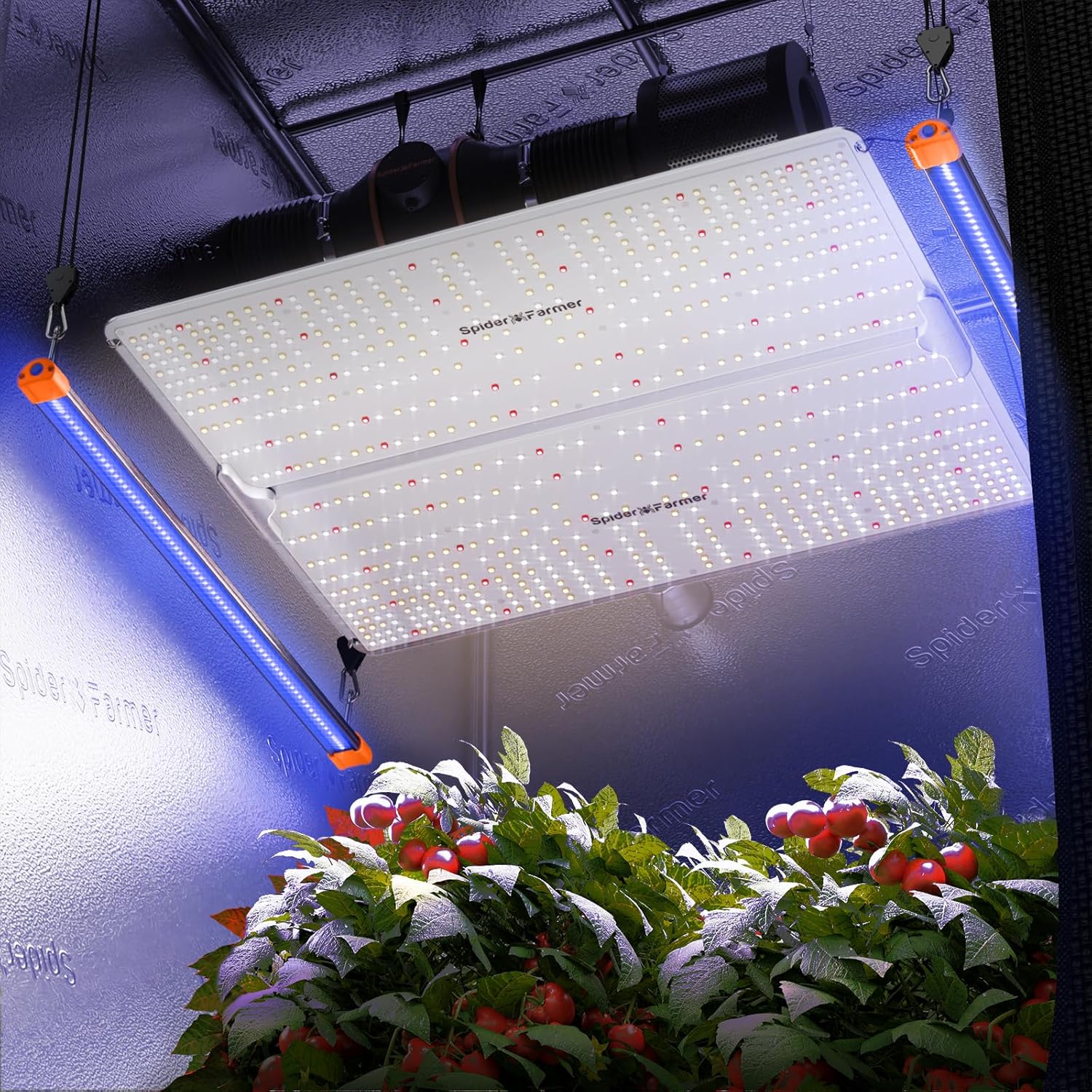 Spider Farmer SF1000D LED Grow Lights with Samsung LM301B Diodes Full Spectrum Grow Light and SUPP-UV30 LED Grow Light, UV Supplemental Light for Indoor Plants,2X2, 3X3, 4X4 Grow Tents