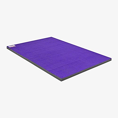 IncStores Cheer Mat | Rollout Gymnastics Mat with a Grippy Gym Carpet Top | Portable Cheerleading Gym Mats for Home Workout and Practice