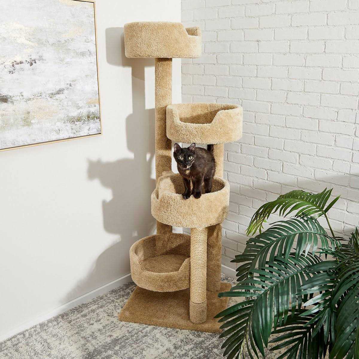 Frisco 65-in Real Carpet Wooden Cat Tree - Pet Supplies online store