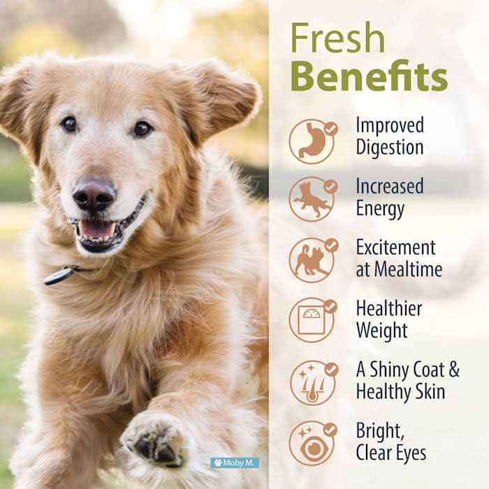 JustFoodForDogs Renal Support Low Protein Diet - Pet Supplies online store