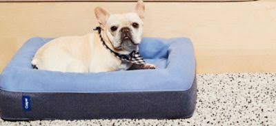 Casper Large Dog Bed in Blue