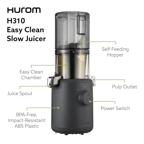 Hurom H310A Personal Self Feeding Slow Masticating Juicer