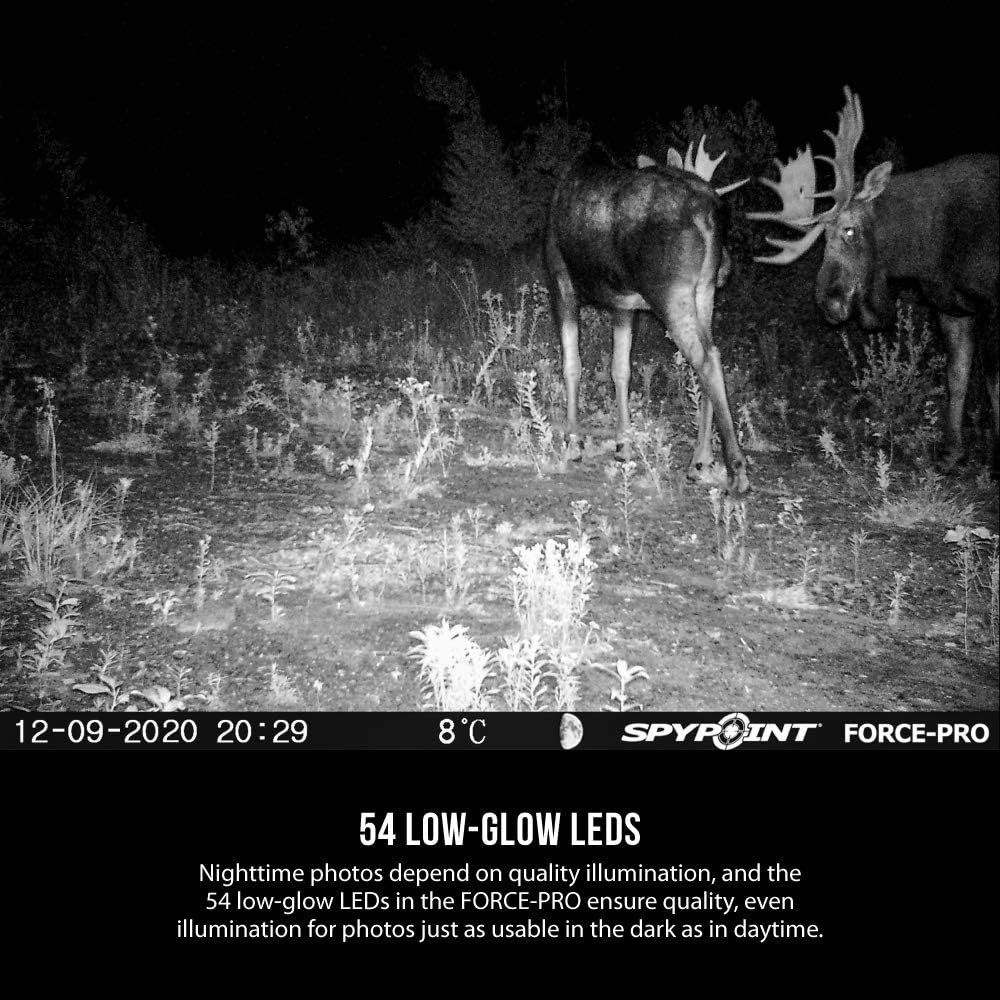 SPYPOINT Force-PRO Trail Camera (30MP) with Spypoint 16 GB SD Card, Card Reader, and Steel Reinforced Strap