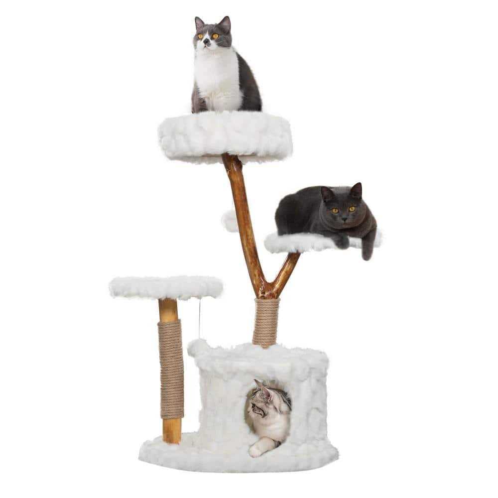 Coziwow Cat Tree Real Branch Luxury Cat Condo - Pet Supplies online store