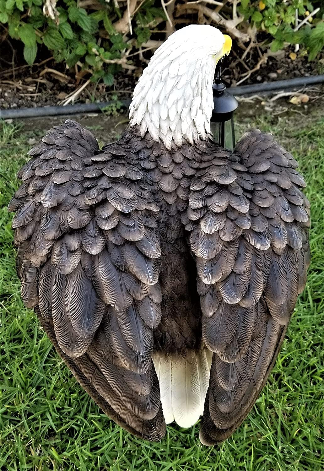 Solar American Bald Eagle Statue with Solar Light-EA