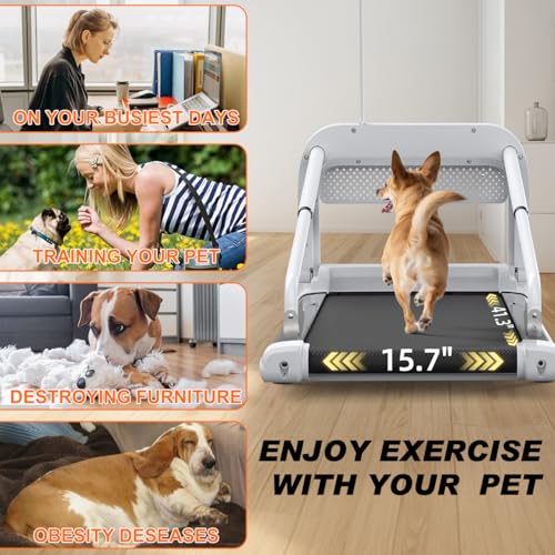 2025 New Quiet Smart Pet Treadmill, Adjustable Speed,Weight Capacity 265 lbs Low-Noise Design Dog Treadmill Pet-Friendly Treadmills for Small & Medium Dogs