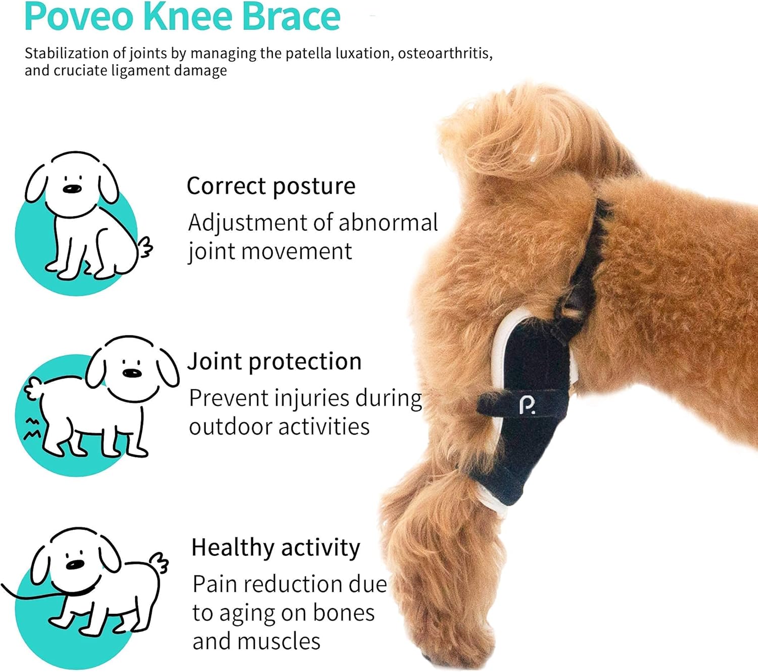 Poveo hinged Dog Knee Brace with Patella Tracker - Neoprene Canine Stifle Support for Dogs with Flexible Support, Torn ACL, Patella Luxation, osteoarthritis, limping from Joint Pain, Hip dysplasia