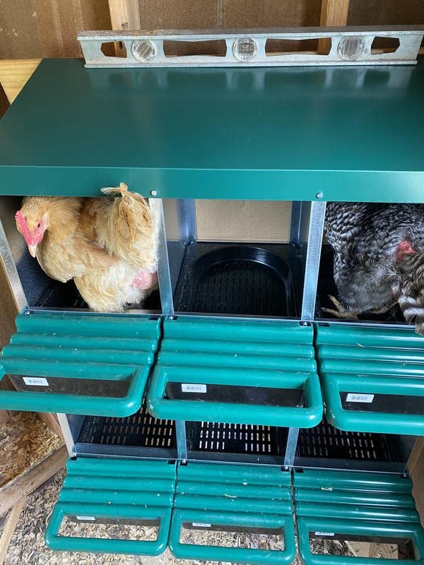 3 Compartment Roll Out Nesting Box for Chickens | Heavy Duty Chicken Coop Nesting Box with Lid Cover to Protect Eggs (with Perch) | for Up to 15 Hens