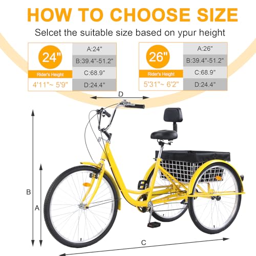 Versatile 24/26-Inch 3-Wheel Adult Tricycle with 7-Speed Gearing and Spacious Basket for Comfortable Riding and Storage for Recreation, Shopping, Picnics