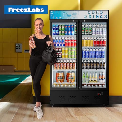 FreezLabs Commercial Merchandiser Refrigerator with LED Lighting Single Glass Door, 6.0 Cu Ft Upright Display Beverage Cooler with Shelves Drink Holders, ETL NSF Approved