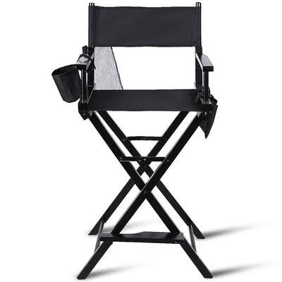 Cecily Director Chair Arlmont u0026 Co.