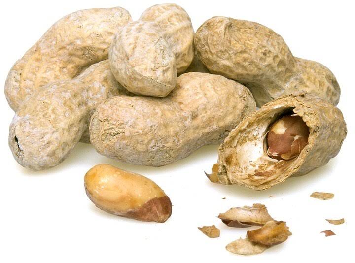 Roasted Peanuts (Salted, in Shell) - 25 Pounds - Bulk Discount